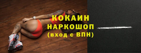 молекула духа Каменногорск