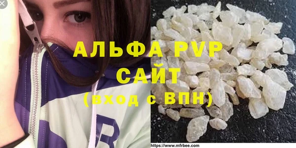 молекула духа Каменногорск