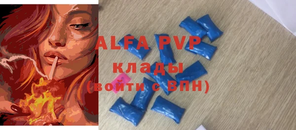 молекула духа Каменногорск