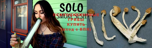молекула духа Каменногорск