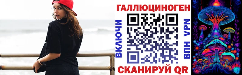 Купить  Дмитровск  Псилоцибиновые грибы Psilocybe 